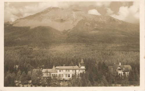1946-49