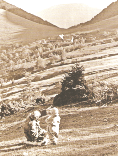 Pohľad na chatu z lúky pod Rozsutcom, v pozadí sedlo pod Osnicou (1951-58)