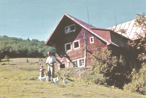 Slepačia polievka sa dala urobiť na chate veľmi rýchlo (1957-59)
