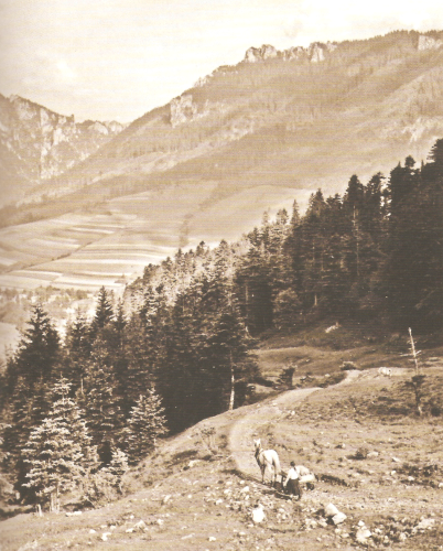 Stará povozná cesta zo Štefanovej (1951-58)